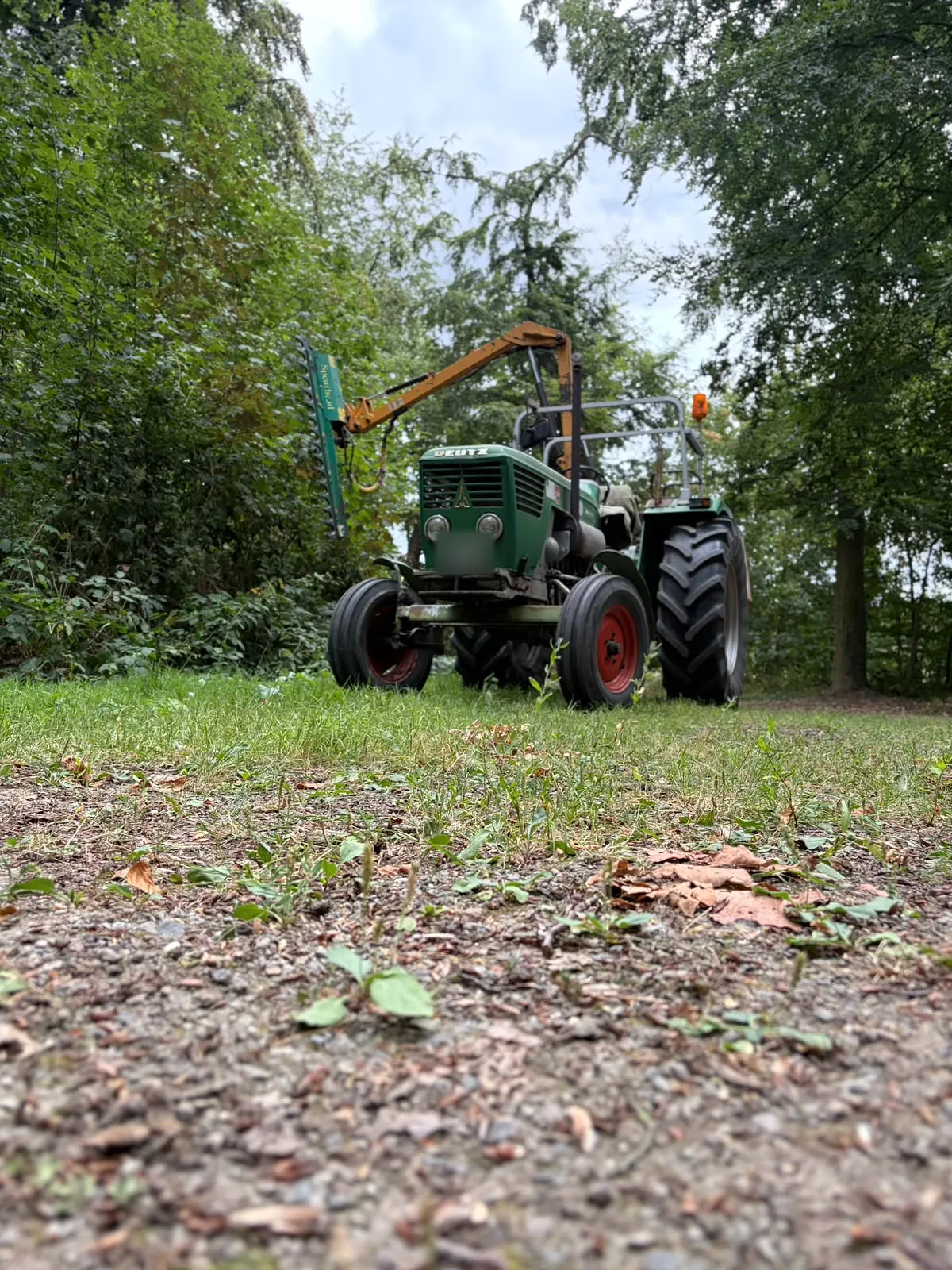 Deutz-Schlepper mit Heckenschneider aus der Froschperspektive auf einer Wiese am Waldrand.