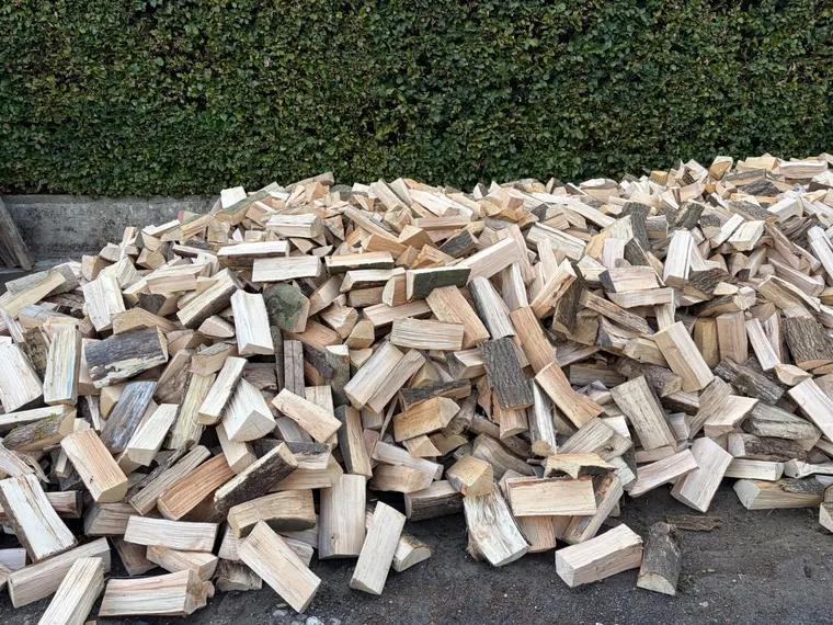 Großer Haufen frisch gespaltenes Kaminholz