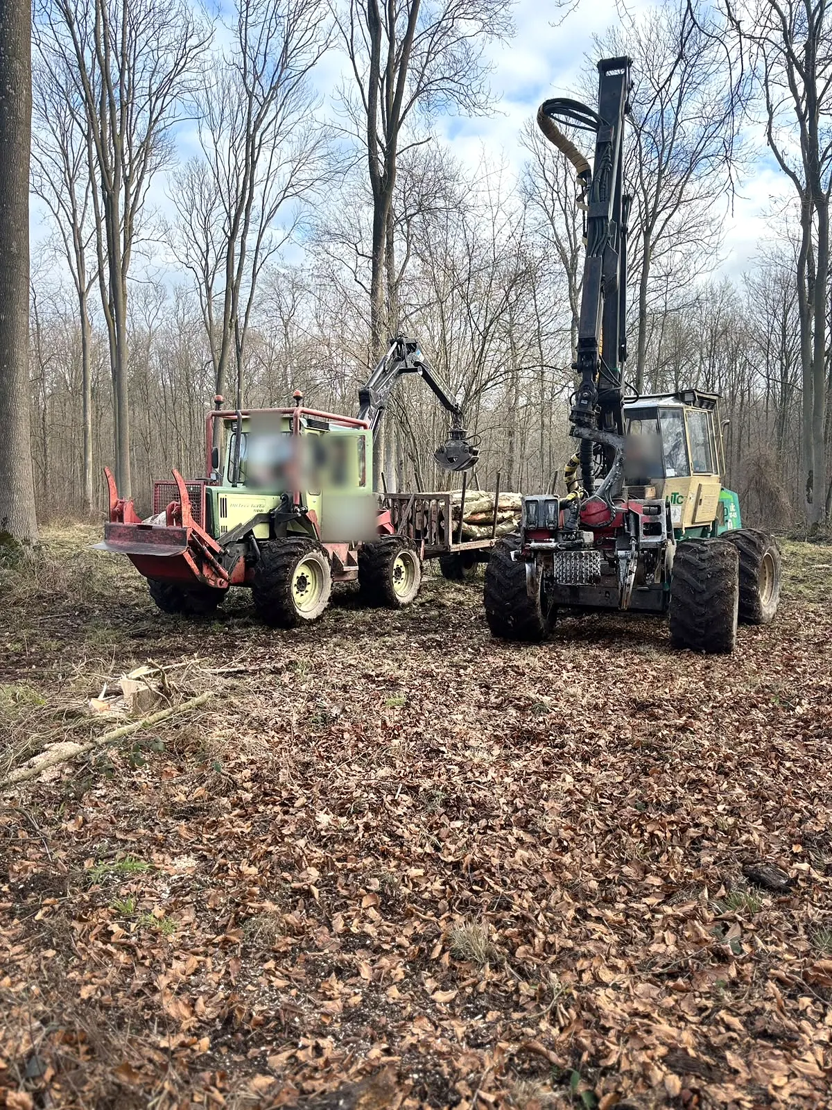 MB-trac mit beladenem Rückewagen neben einem Harvester im Laubwald.